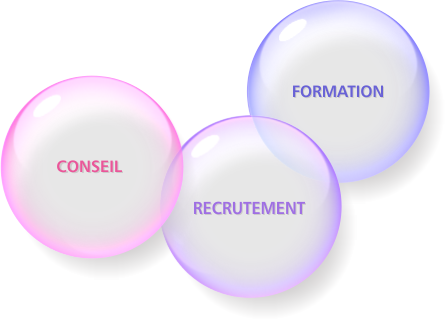 Conseil, Recrutement, Formation