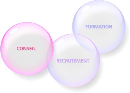 Conseil, Recrutement, Formation