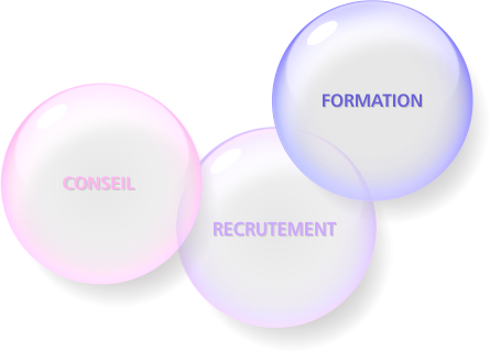 Conseil, Recrutement, Formation